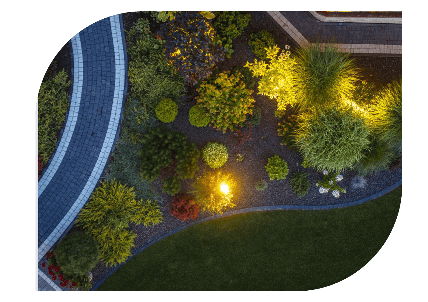 Aerial view of a garden with illuminated plants at night near a curved pathway.